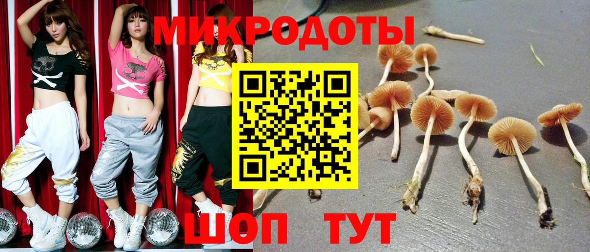Кемерово  Псилоцибиновые грибы Magic Shrooms  Вход с VPN 